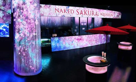 SAKURA AQUARIUM