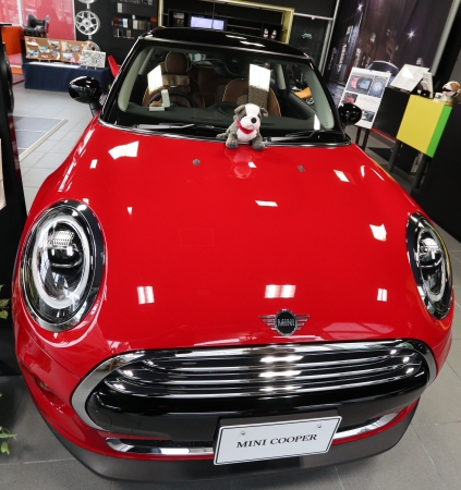BMW MINI KOCHI