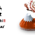 mini-hachi × DRY BONSAI®