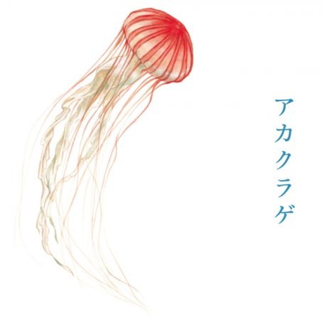 雨空を泳ぐクラゲの傘