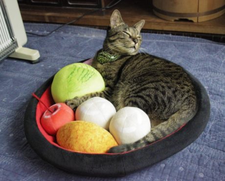 和のおもてニャし あんみつにゃんこクッション