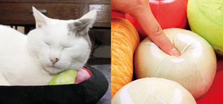 和のおもてニャし あんみつにゃんこクッション