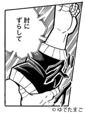 バッファロー・サポーター