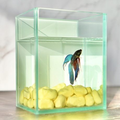 24色の防犯砂利であなたの思い描いたお庭を実現～防犯砂利でギネスブックに挑戦～