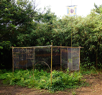 青木陵子＋伊藤存　変化する自由分子のWORKSHOP展