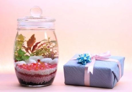 超ミニ水族館ボトリウム