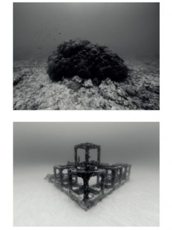 TARA OCEAN展 科学探査船とアーティスト