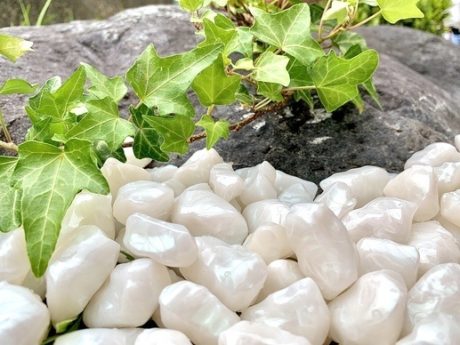 24色の防犯砂利であなたの思い描いたお庭を実現～防犯砂利でギネスブックに挑戦～