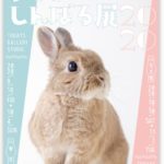 うさぎしんぼる展 2020