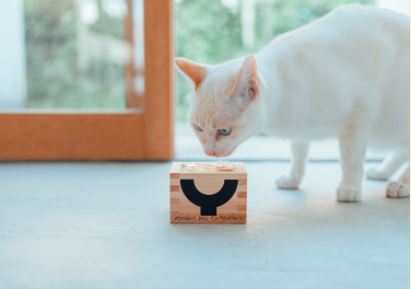 Creation Project 2020　160人のクリエイターと大垣の職人がつくるヒノキ枡