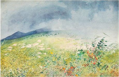 大下藤次郎と水絵の系譜