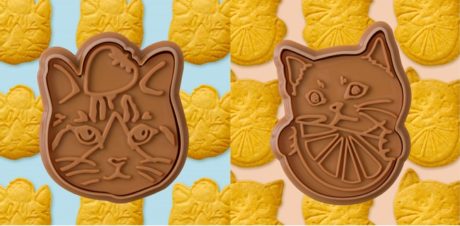 Cat’s NapTime produced by Cat’s ISSUE