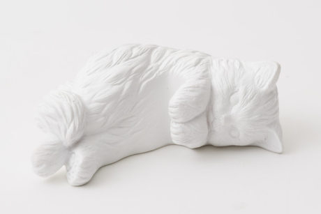 Cat’s NapTime produced by Cat’s ISSUE