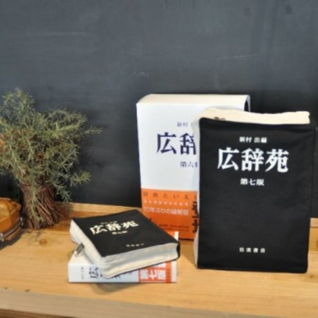 広辞苑 × ヴィレッジヴァンガード