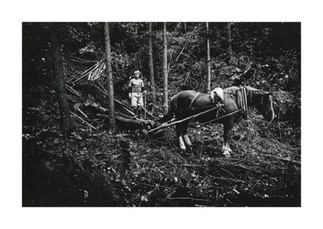 写真家がカメラを持って旅に出た　北井一夫「村へ、そして村へ」