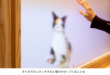 猫見障子