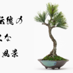 アートクラフト盆栽文人スタイル