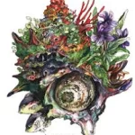 マツダケン作品展
