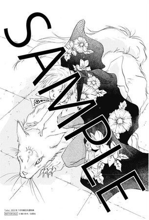 夏目友人帳 20周年