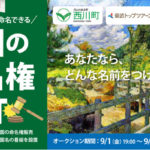 公園の命名権NFT