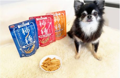 犬専用おやつ 柿ノ種