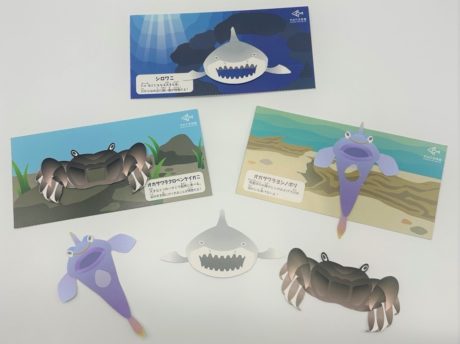 すみだ水族館で開催！すみだボニンアイランド