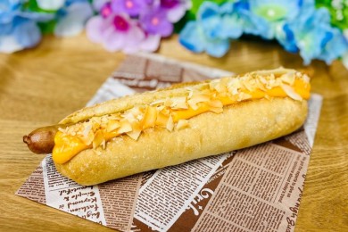 すみだ水族館で開催！すみだボニンアイランド